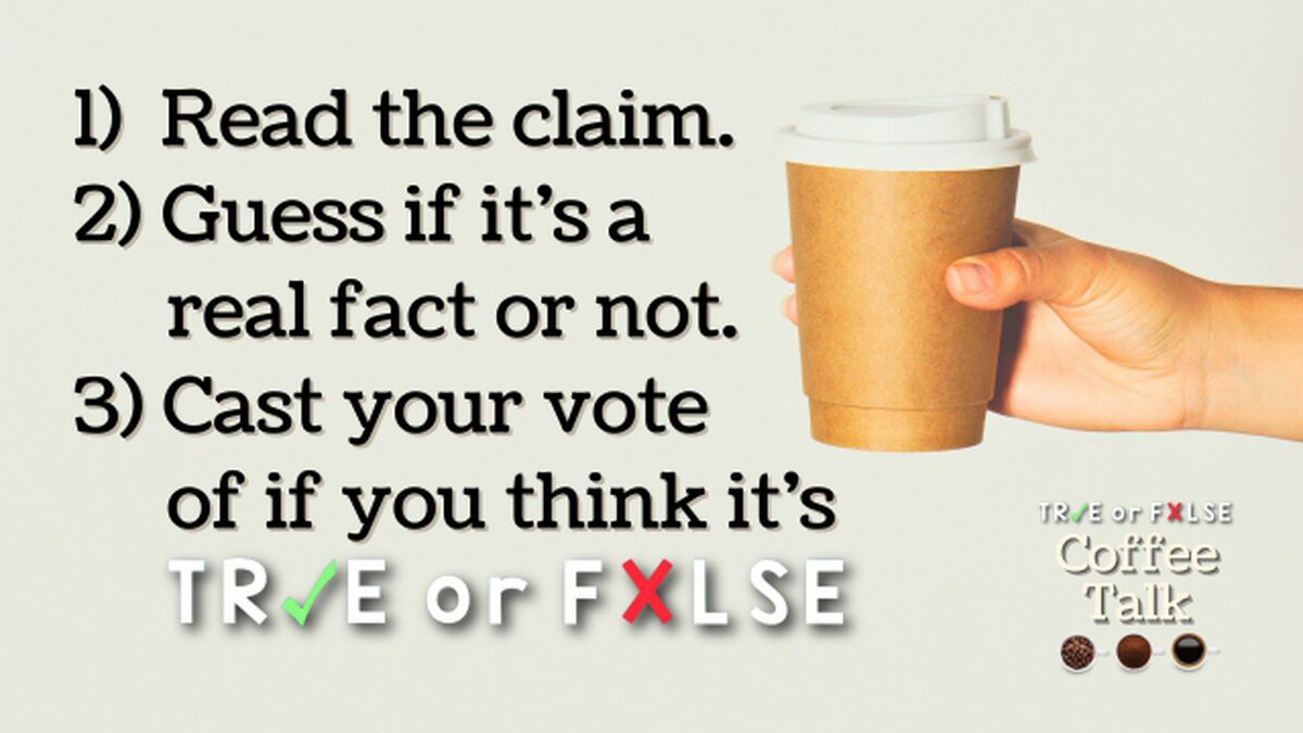 TRUE or FALSE: Coffee Talk image number null